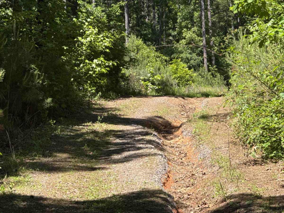 Elmo Creek photo 4