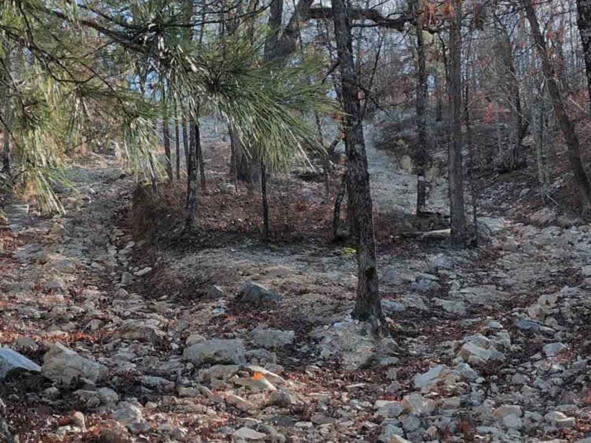 C7 Donnie's Hill (Bottom) photo 4