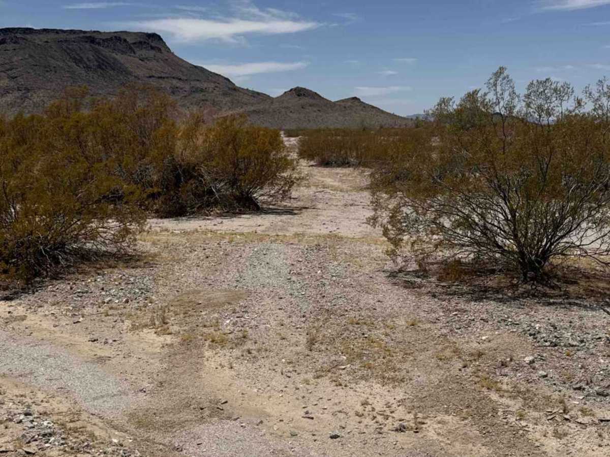 Across the Desert photo 4