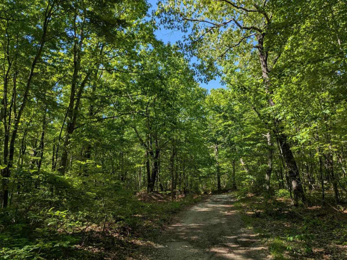 Paint Rock Trail photo 4