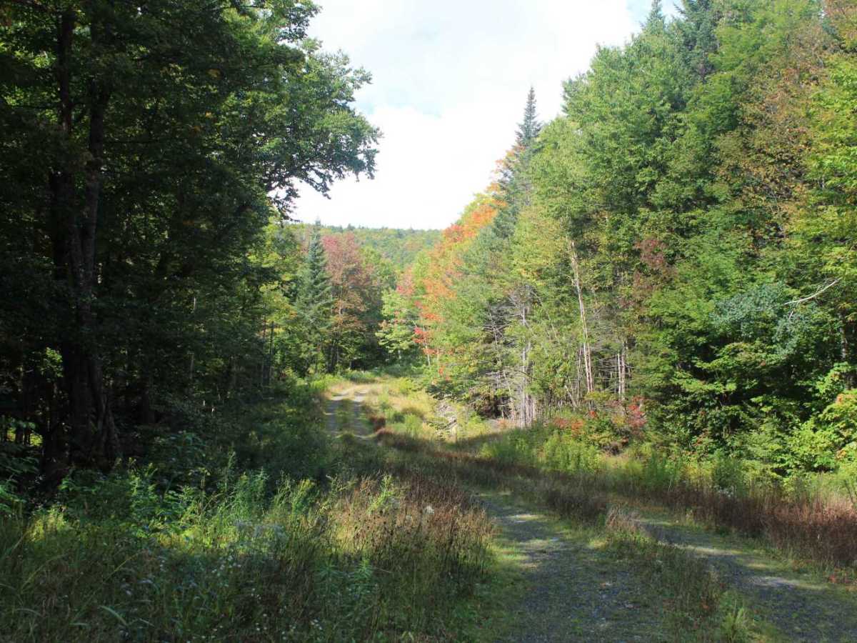 Roaring Brook Trail photo 2