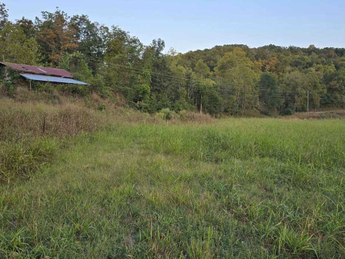 Lower Field Trail photo 5