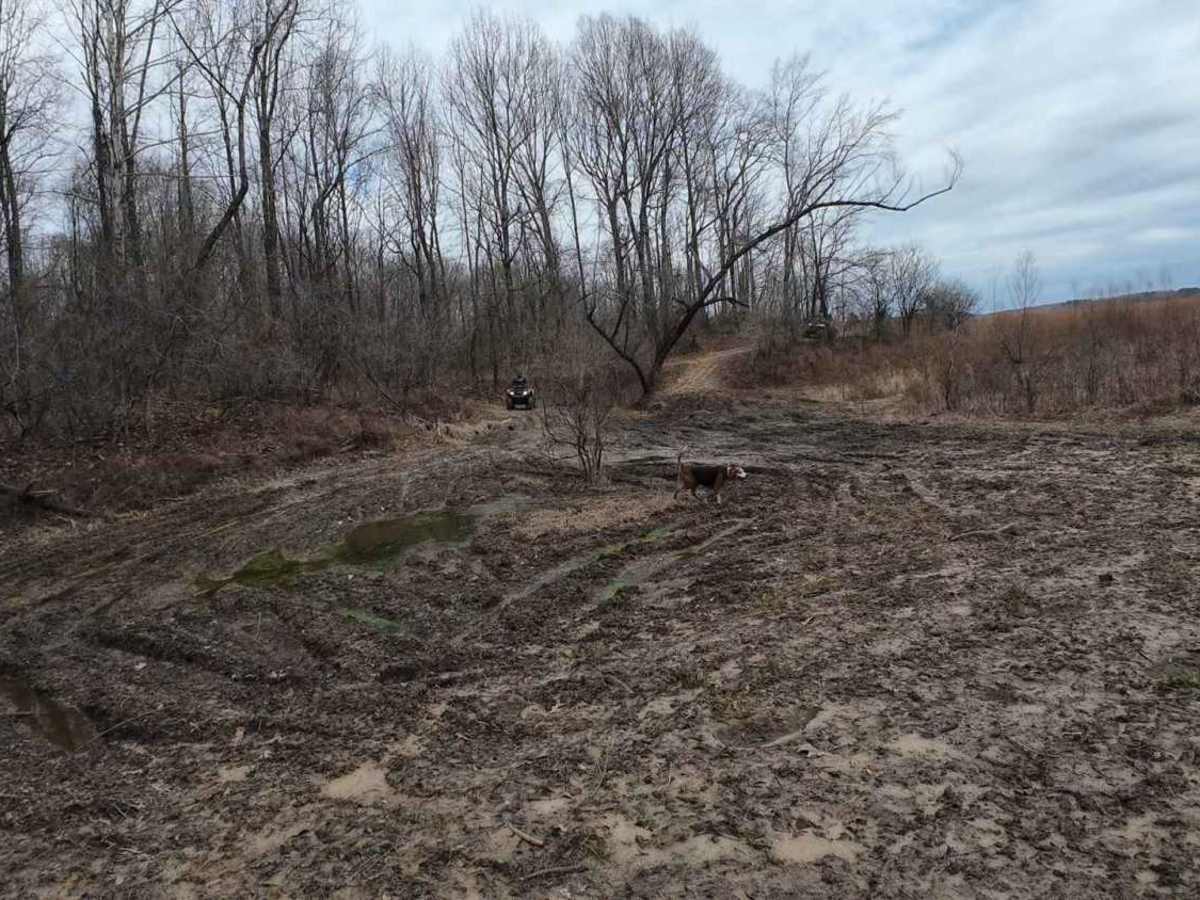 Panther Creek Trail photo 2