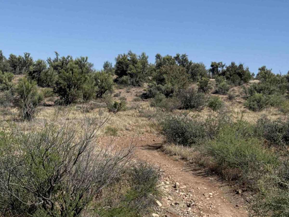 Grief Hill Trailhead - FS 9650C photo 4