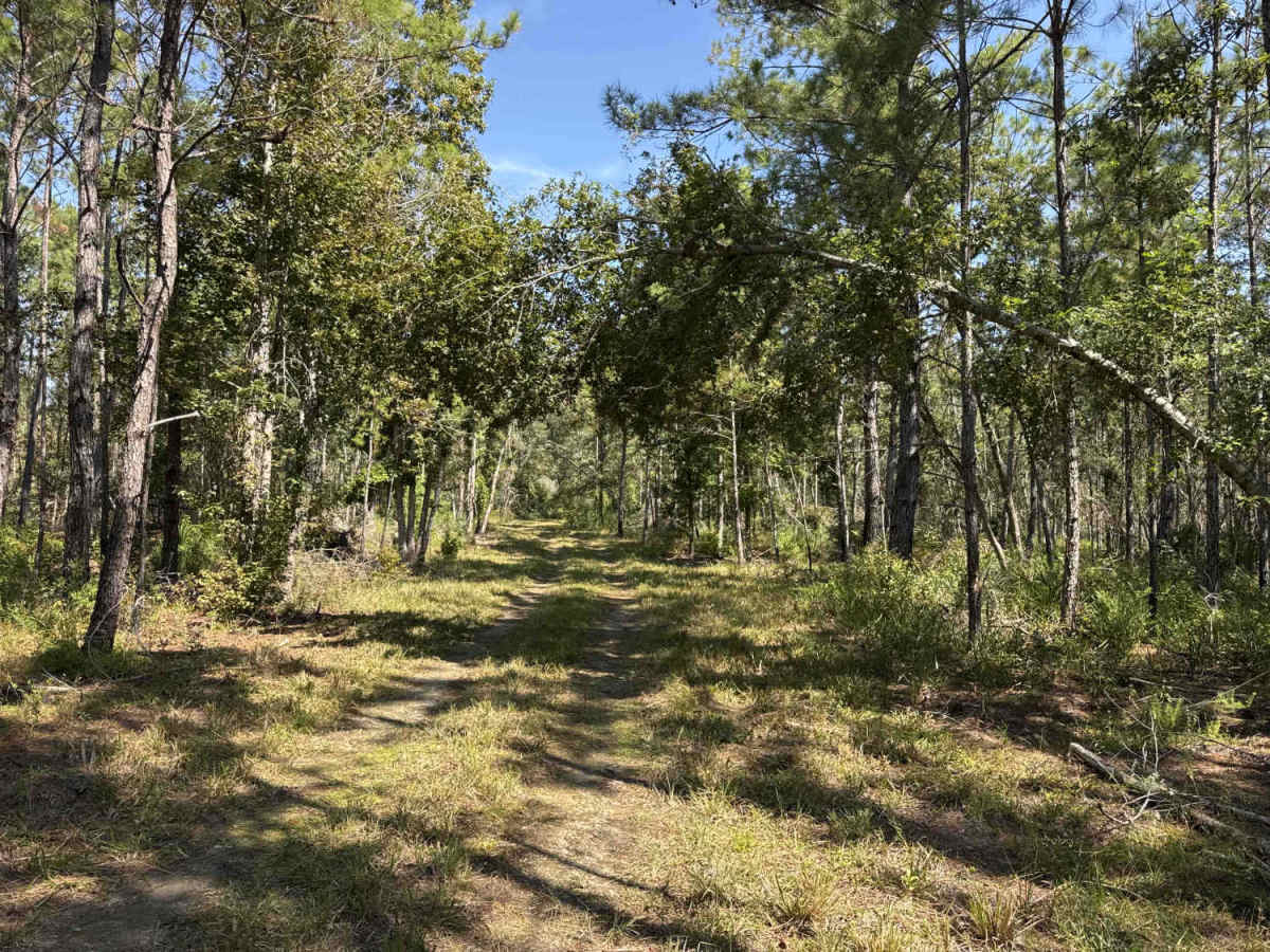 Boundary Loop photo 4