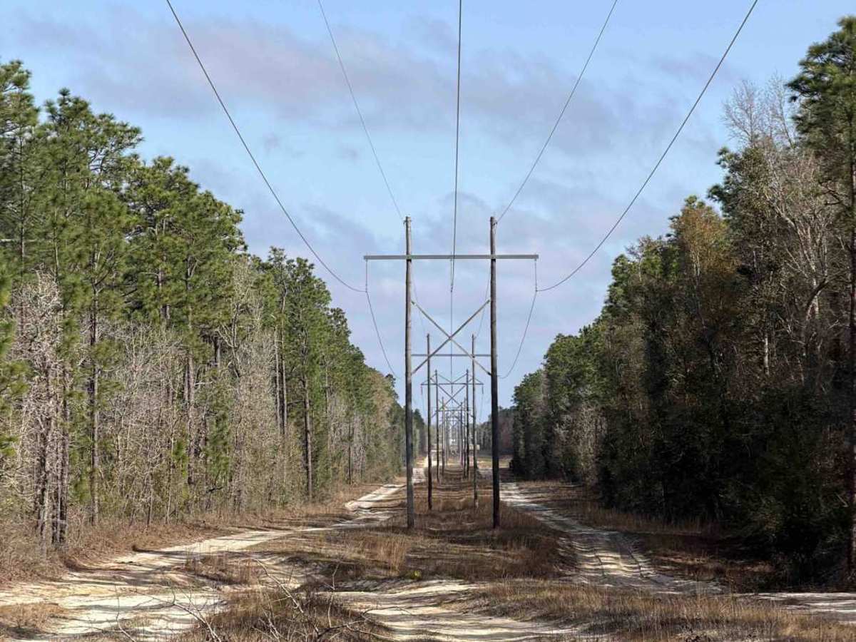 Powerline West - FS 300-A photo 5