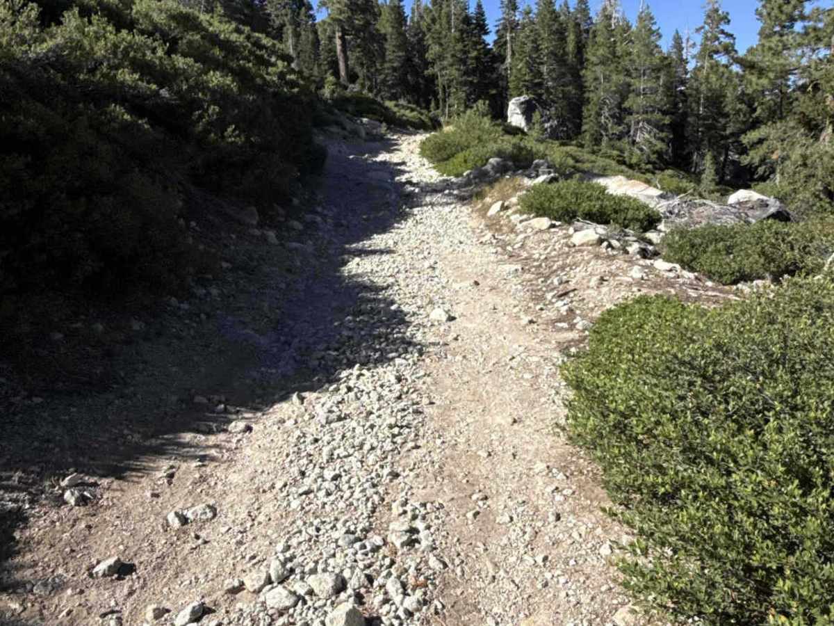 Tamarack - FS 18EV287 photo 3