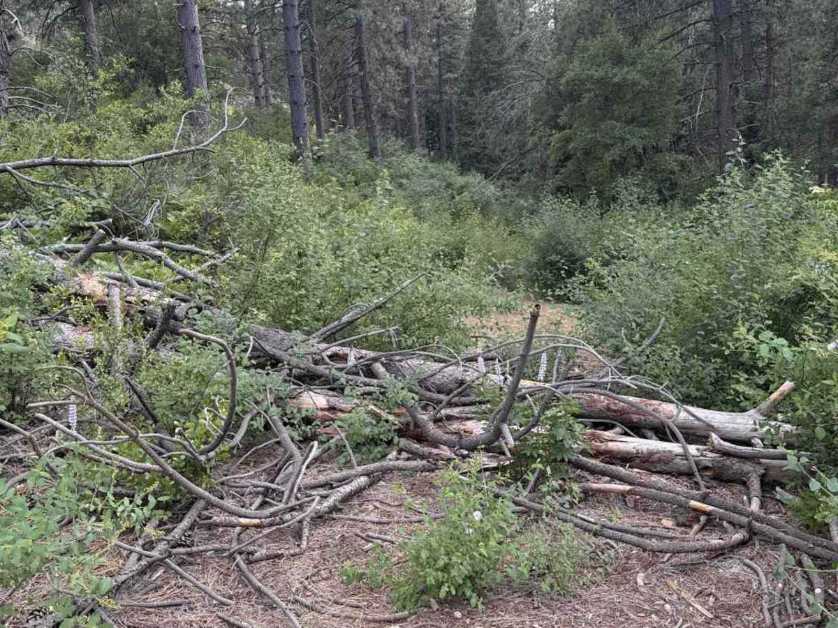 FS 3N07C trail photo