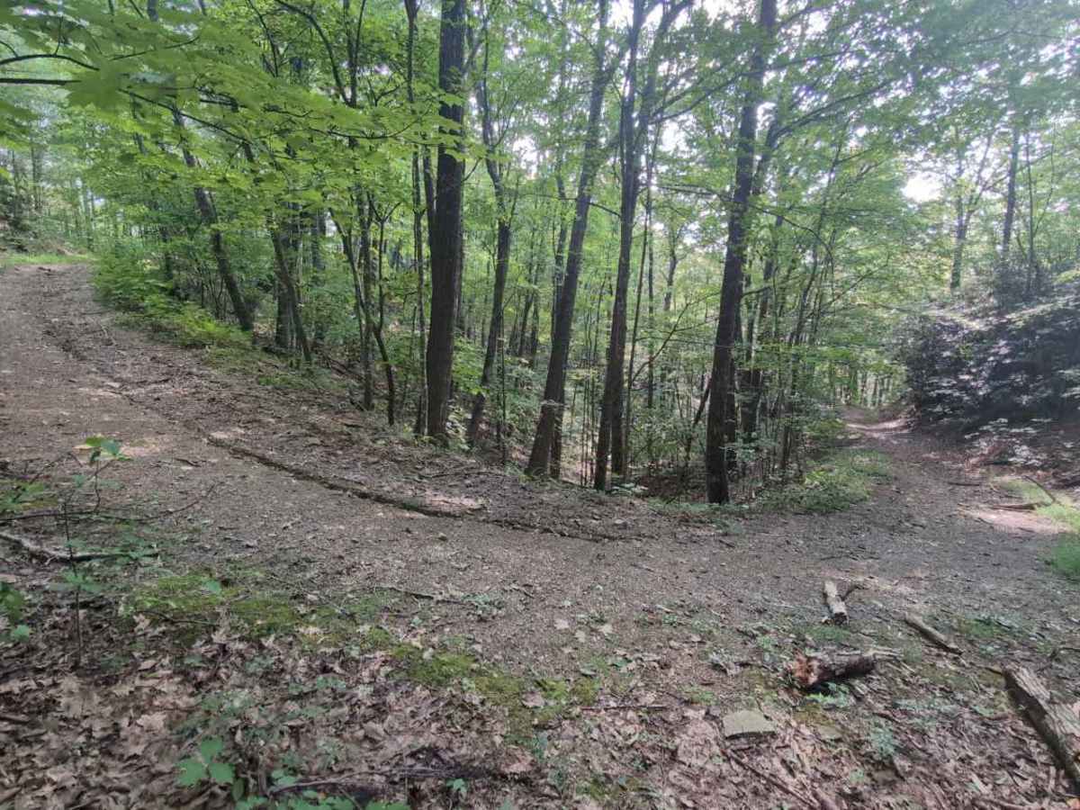Virginia Highlands Horse Trail photo 6