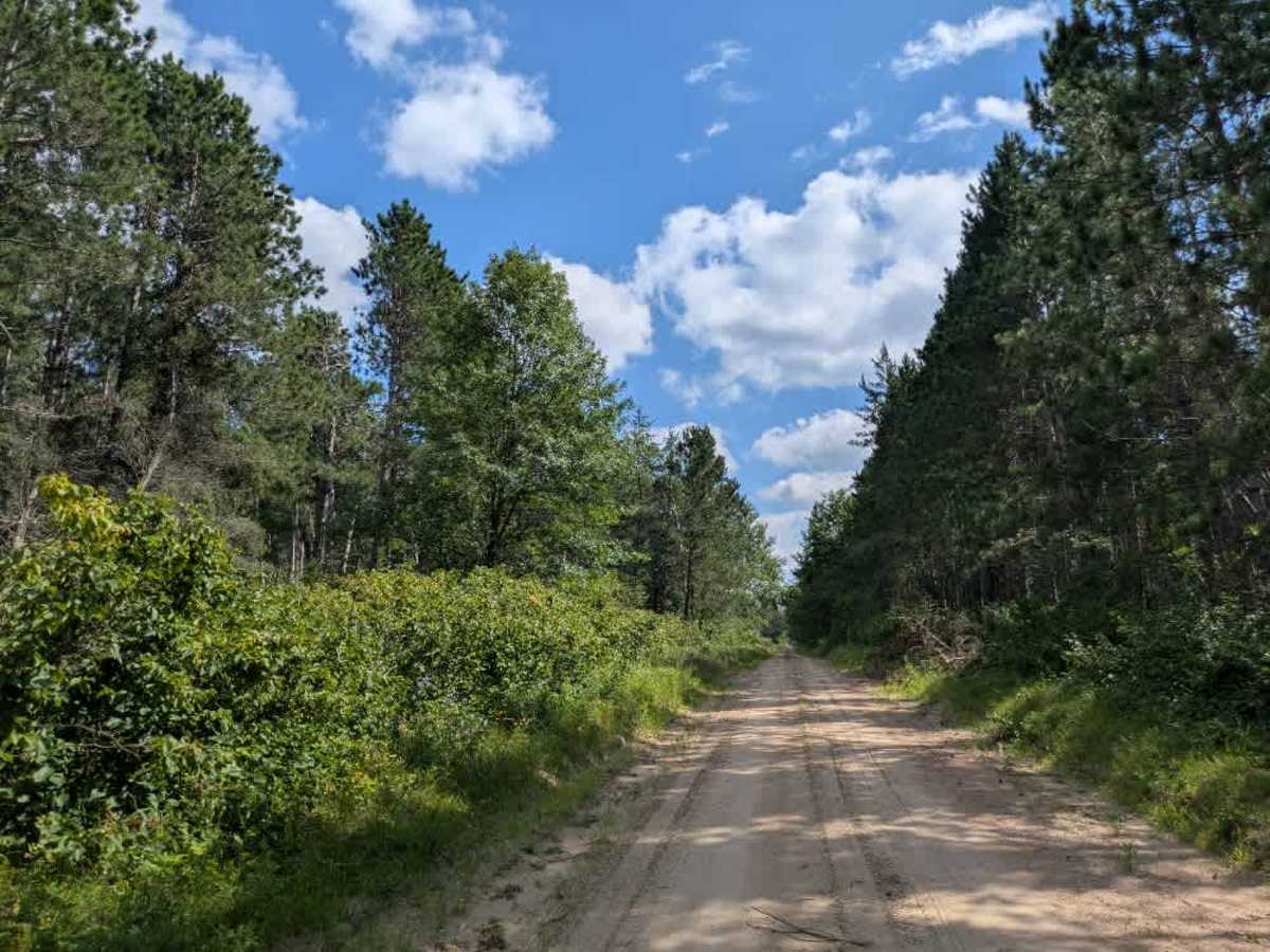 Cass River Road Southeast trail photo