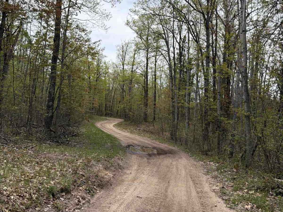 Sage Lake trail photo