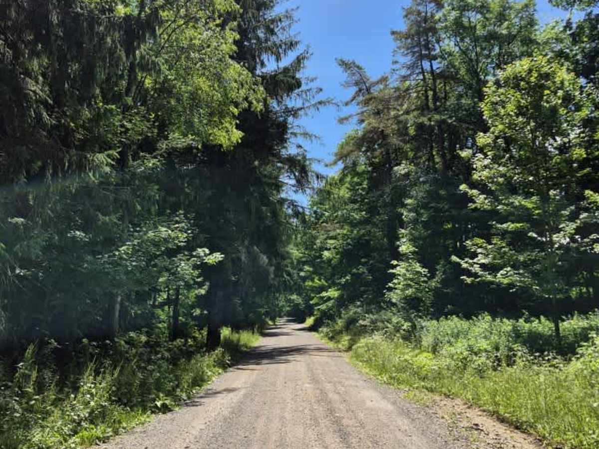 Culpepper Road  trail photo