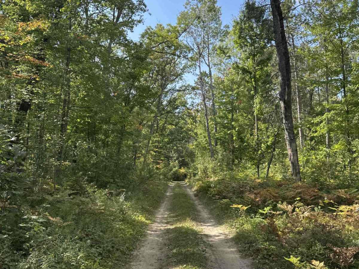 FS 4419 trail photo