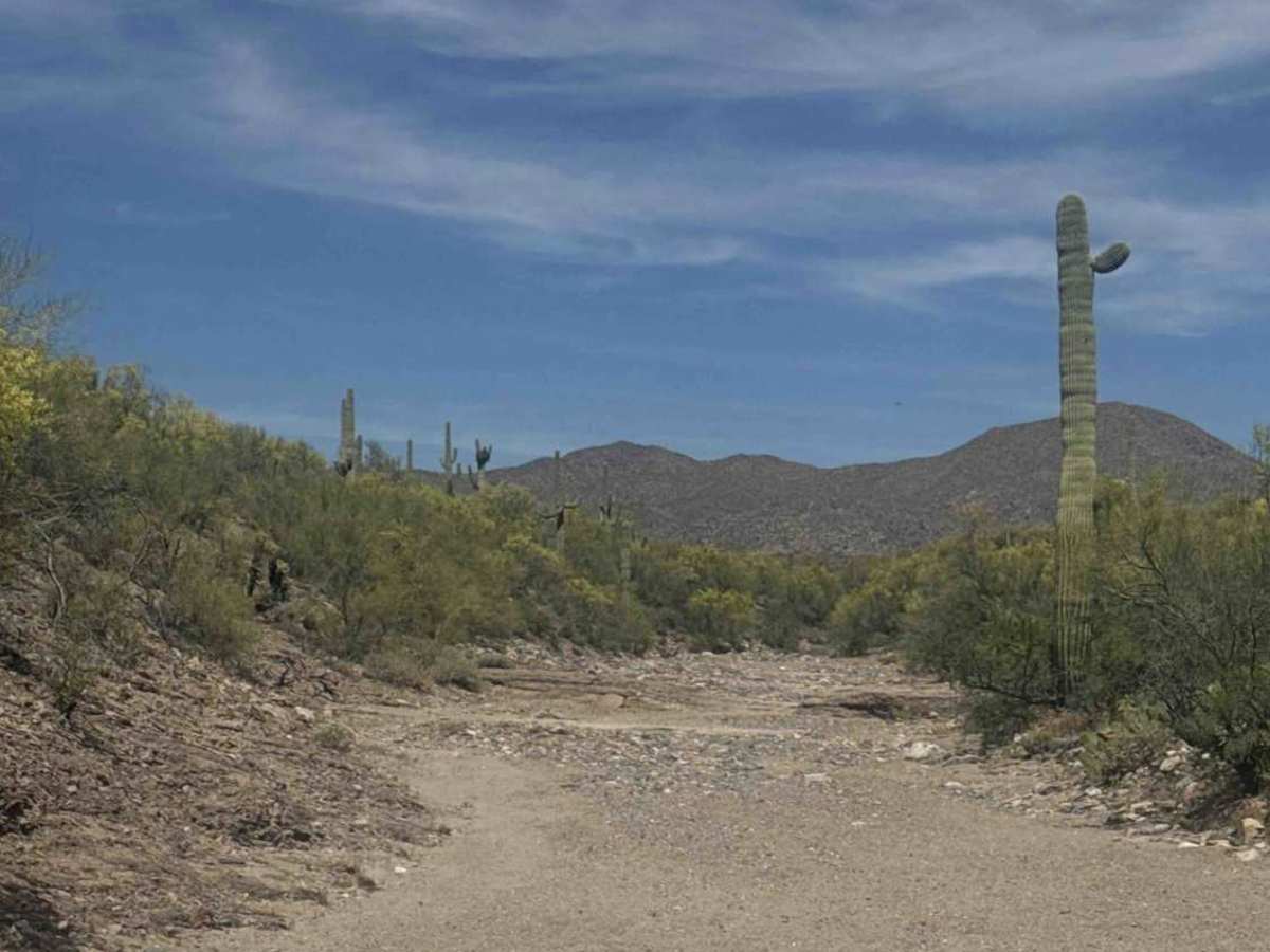 BLM 28065 trail photo