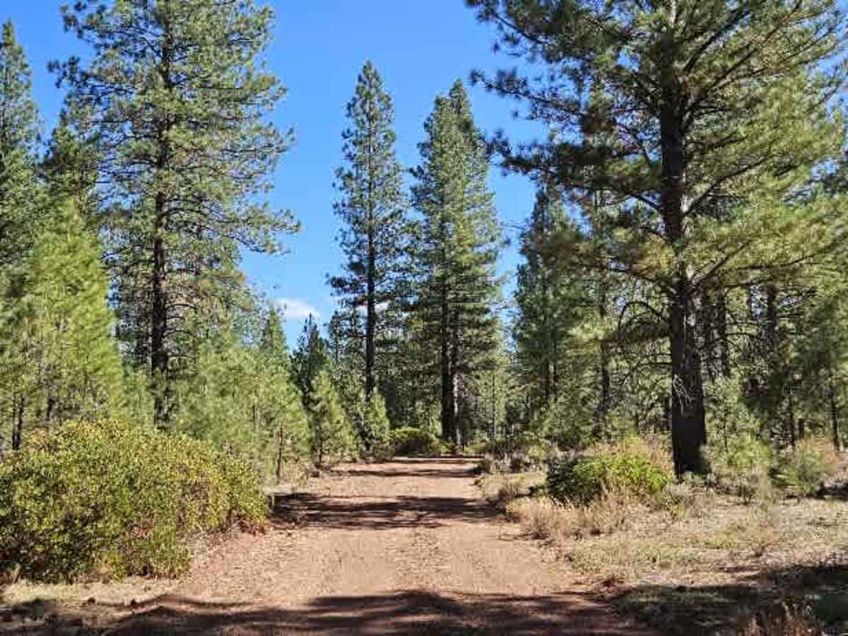 FS 33N26 trail photo