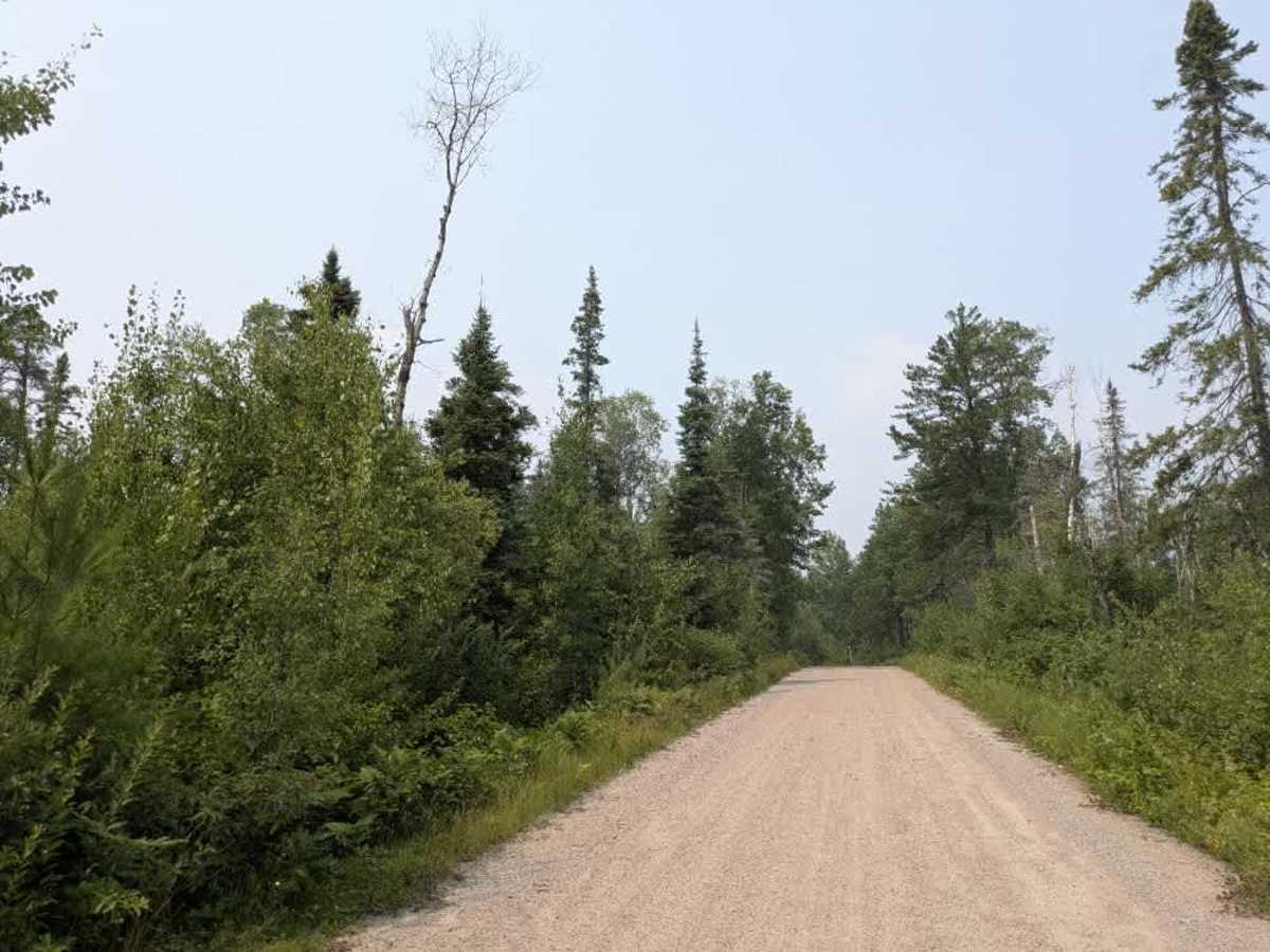 Birch Lake photo 4