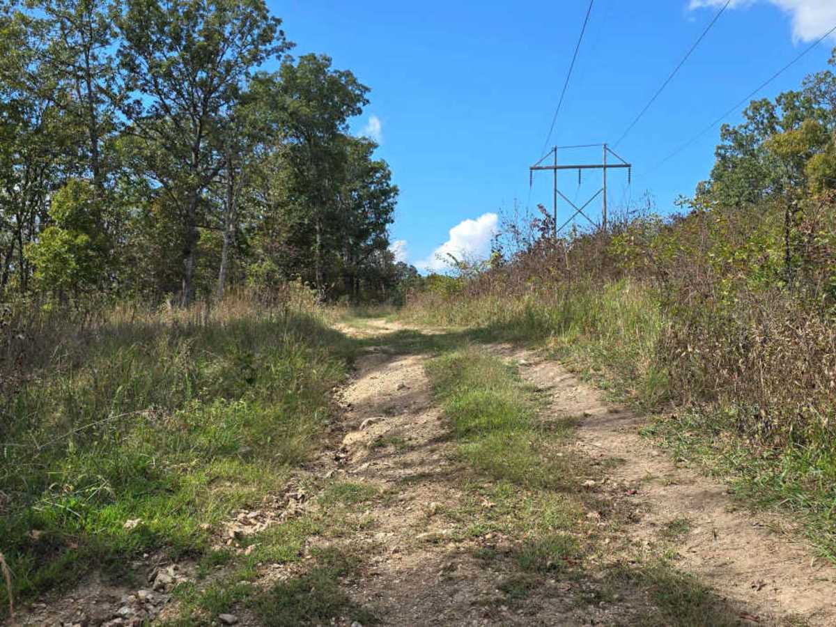 Power Line East photo 5