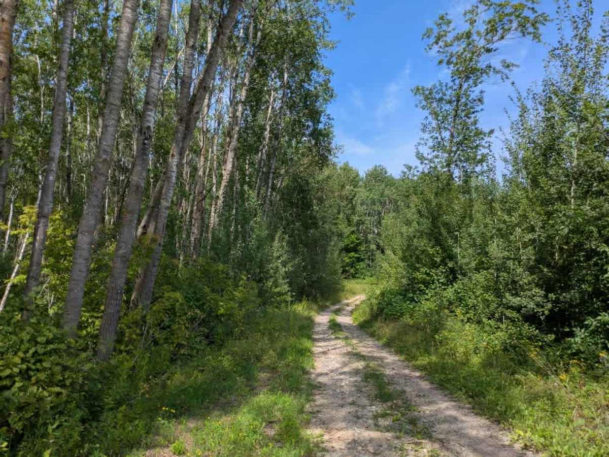 Hungry Gulch Road photo 2