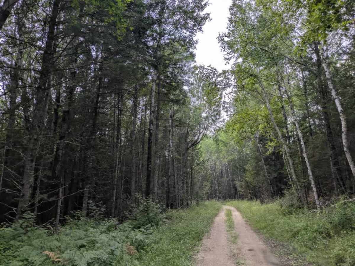Cutacross Road trail photo