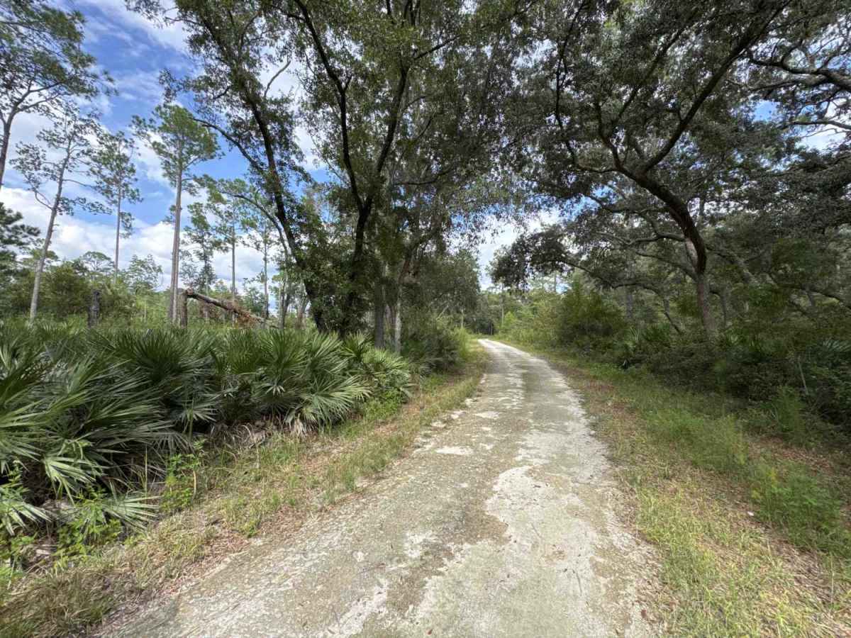 North Creek Road photo 2