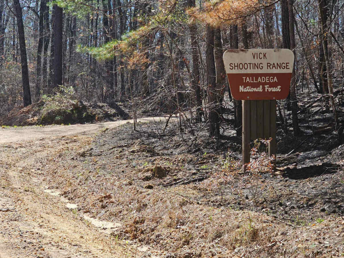 Vick Road - FS 412 trail photo