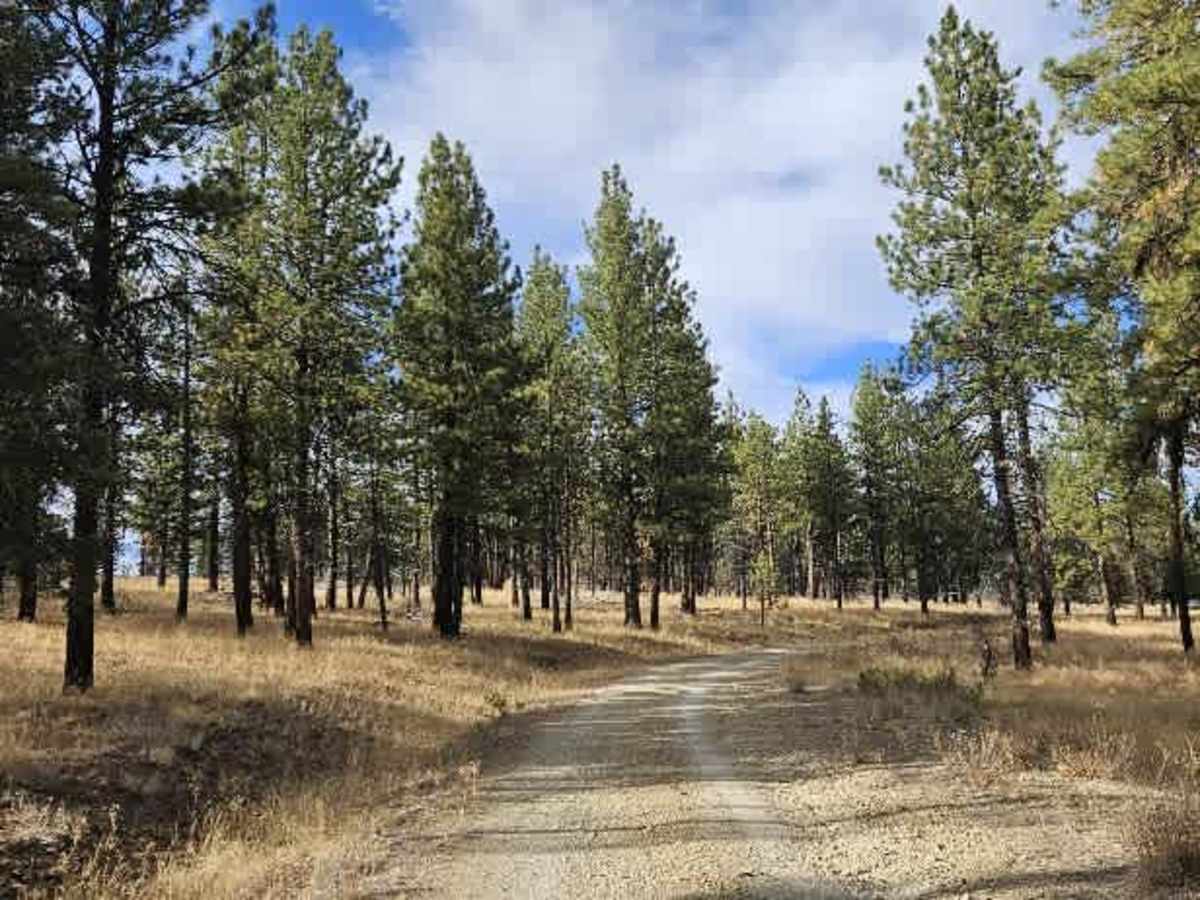 FS 5800600 trail photo