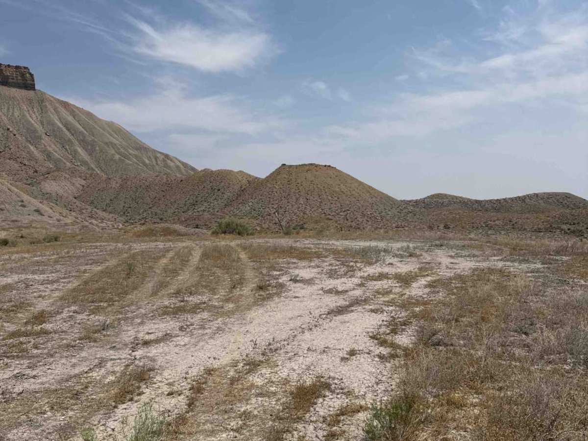 BLM 113 photo 5