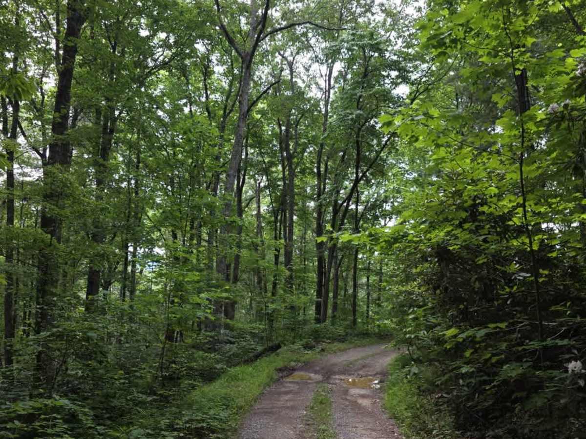 Little Paint Creek photo 3