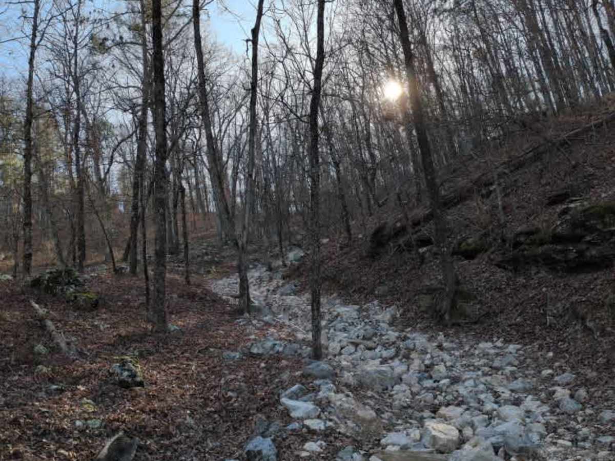 C5 Humdinger trail photo