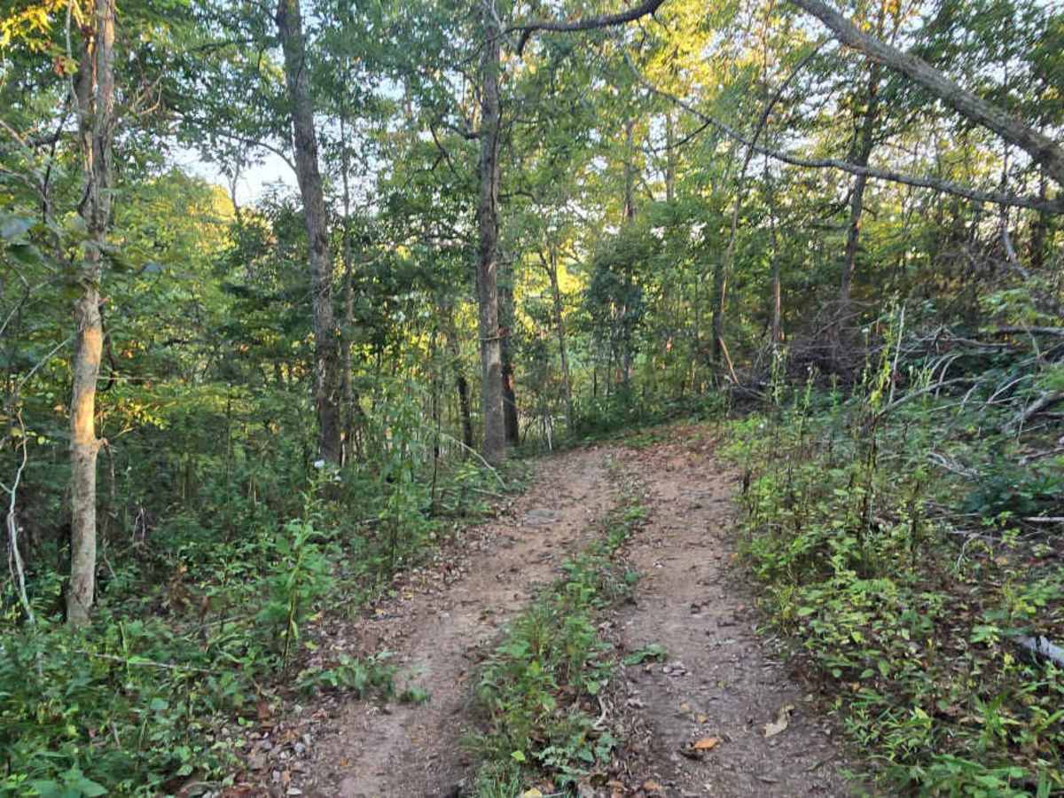 Cedar Ridge photo 6