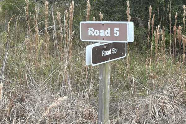 Road 5b - Three Lakes WMA