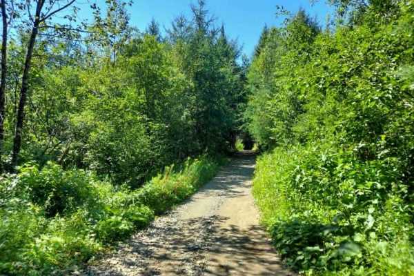 Crum Memorial Trail