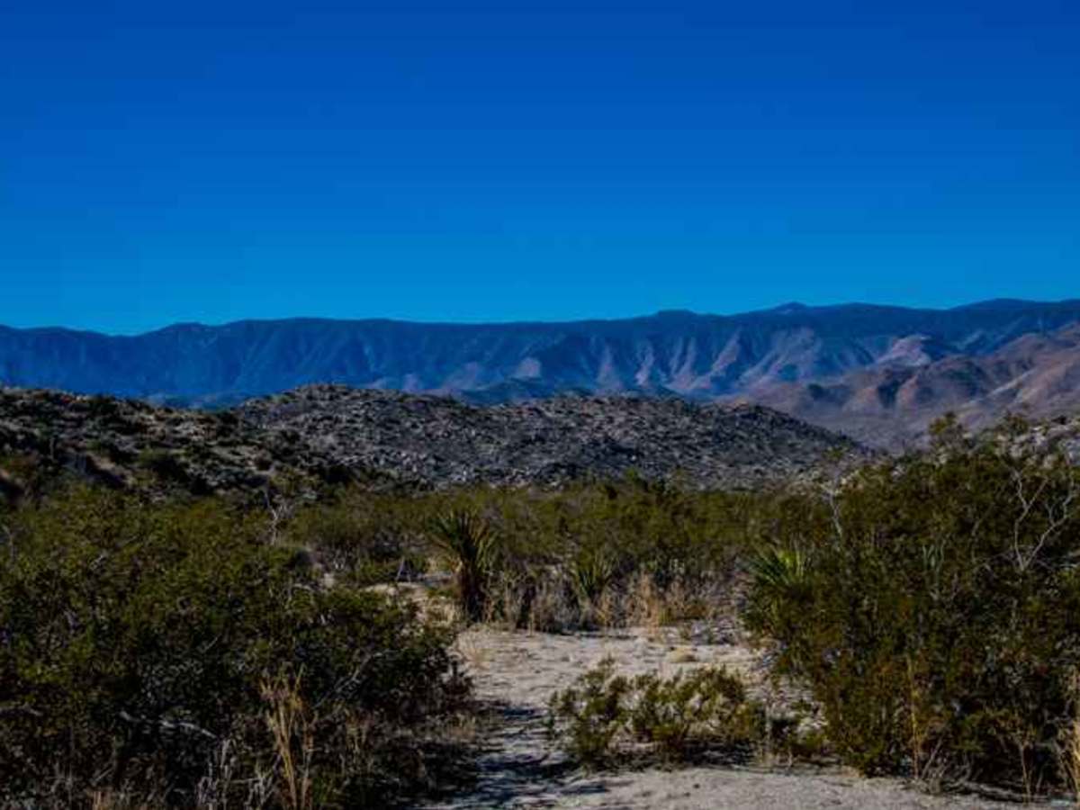 North Pinyon Mountain Road photo 4