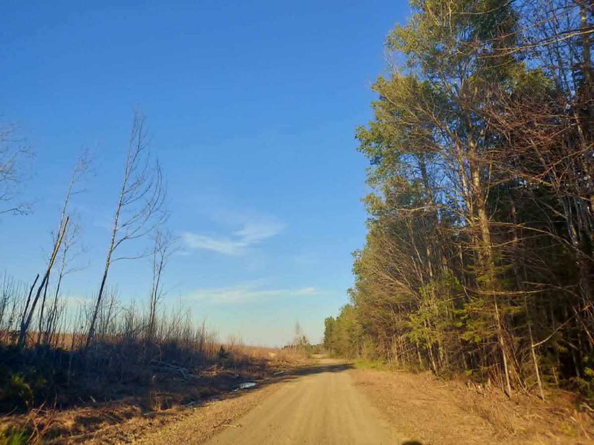 Carlisle Brook Trail photo 2