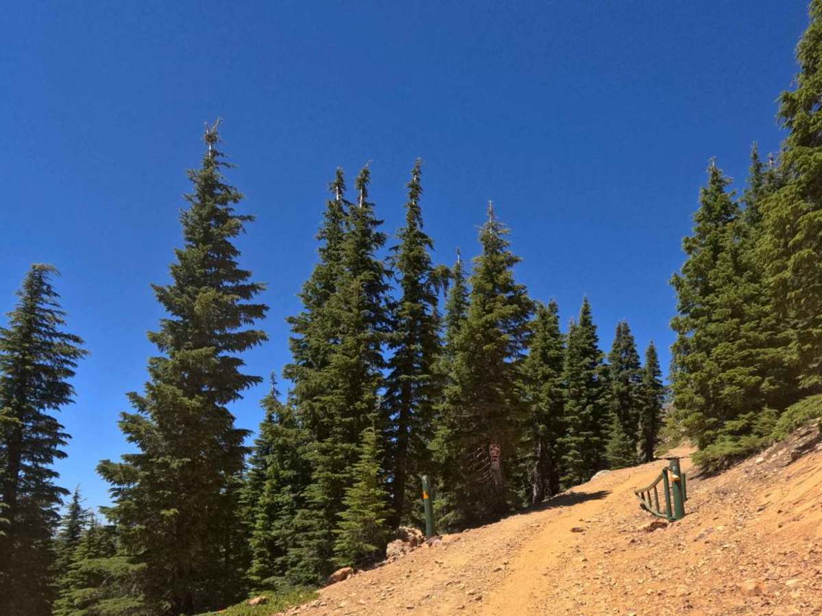 Sierra Buttes Trail photo 3