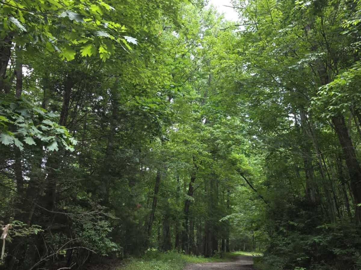 Little Paint Creek trail photo