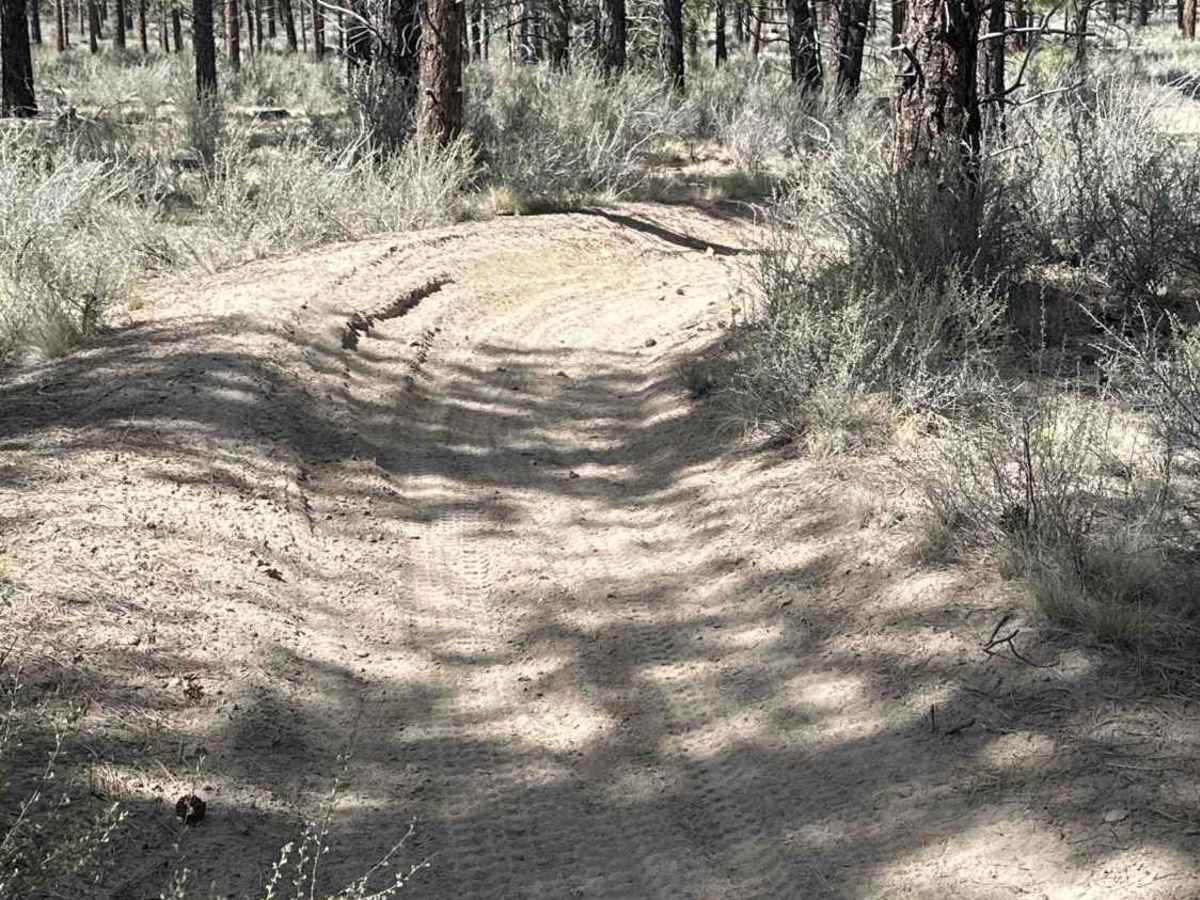 East Fort Rock OHV Trail 25 photo 6