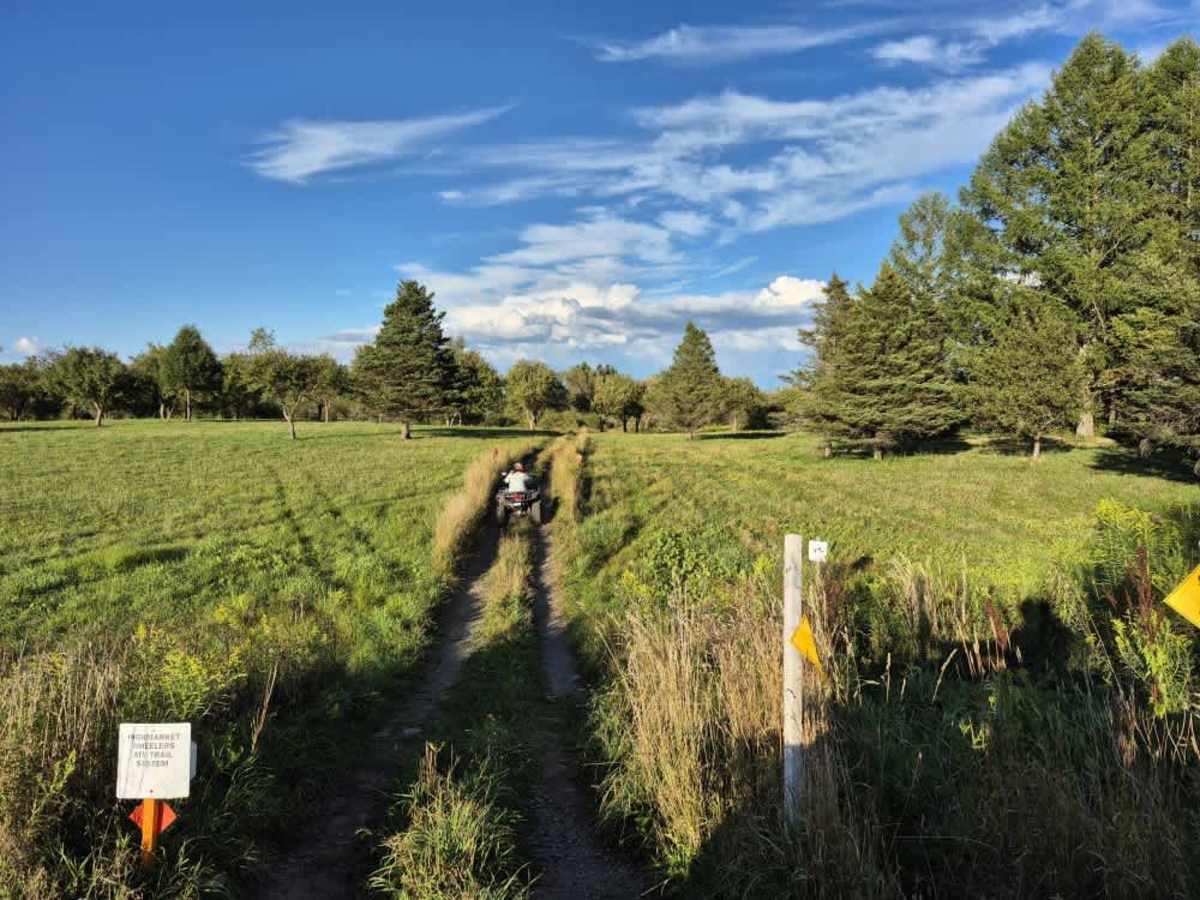 Byron Corners Orchard photo 5