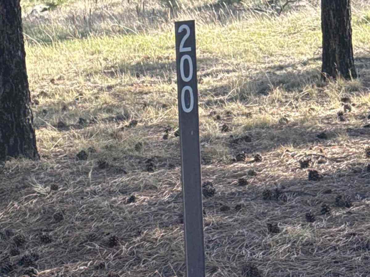 FS 200 trail photo
