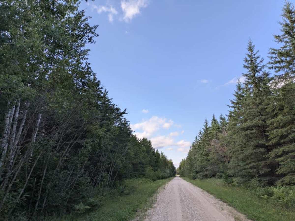 Bednar Forest Road trail photo