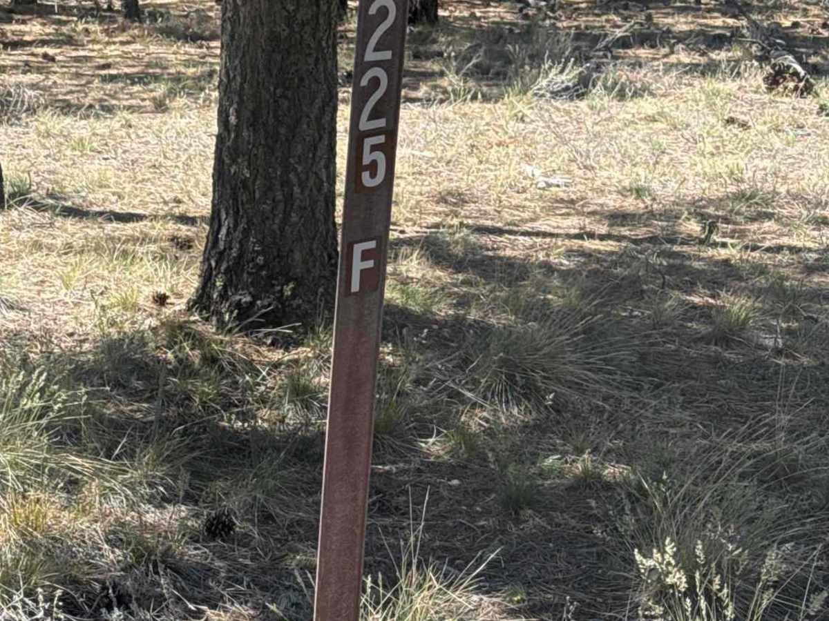 FS 225F trail photo