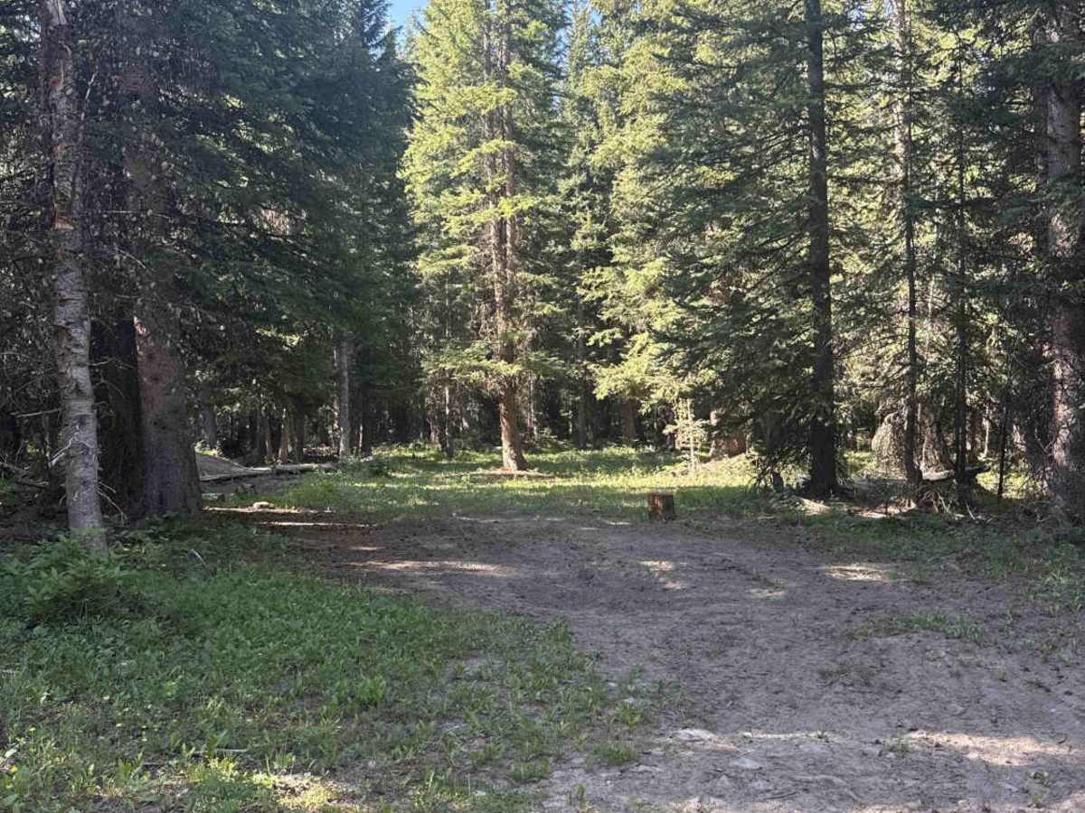 Willows Cabin Road - FS 280 photo 5