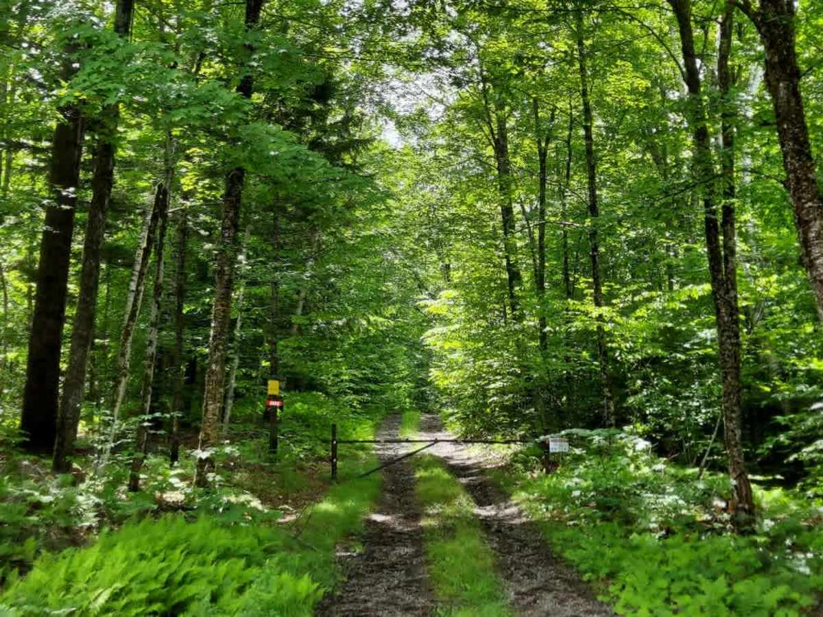 Curtis Hollow Road photo 5
