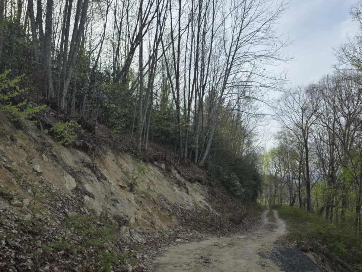 Little Pond Mountain photo 4