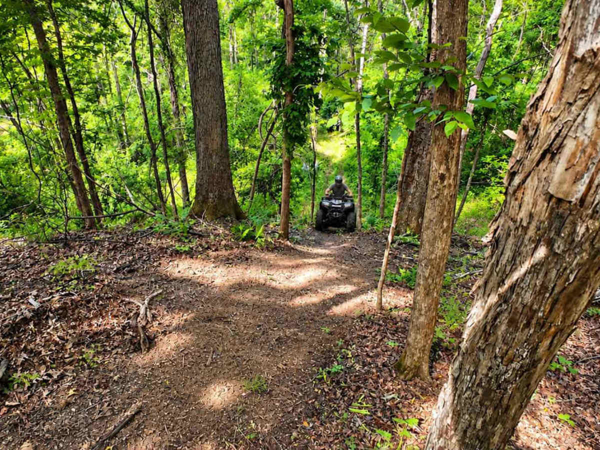 Splinter Hill Trail  photo 4
