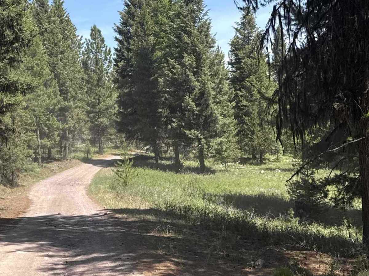 Tupper Lake/River View Road trail photo