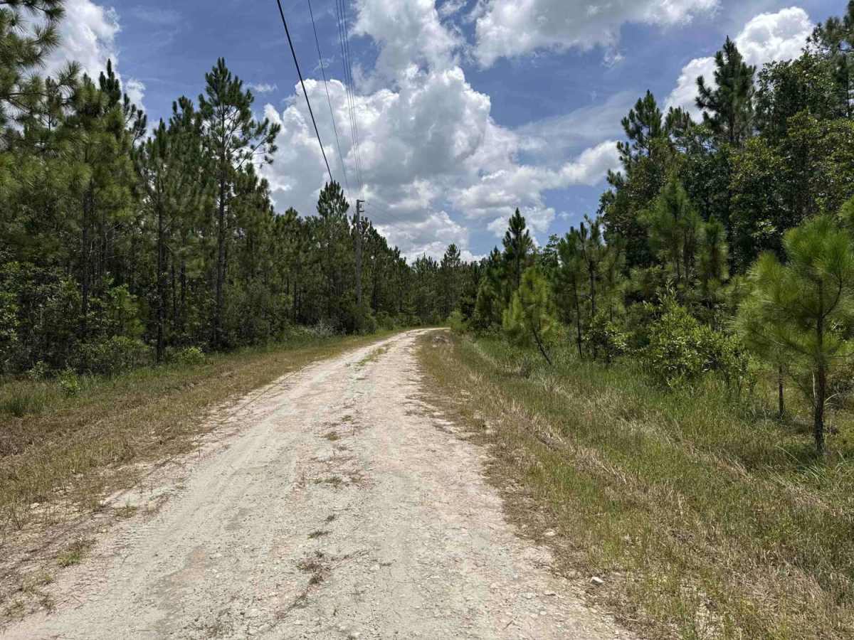Bear Island Road photo 6