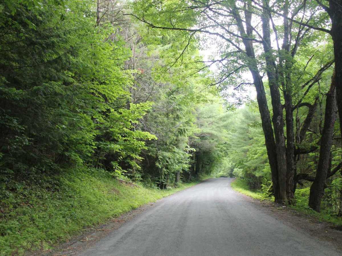 Mill Road photo 4