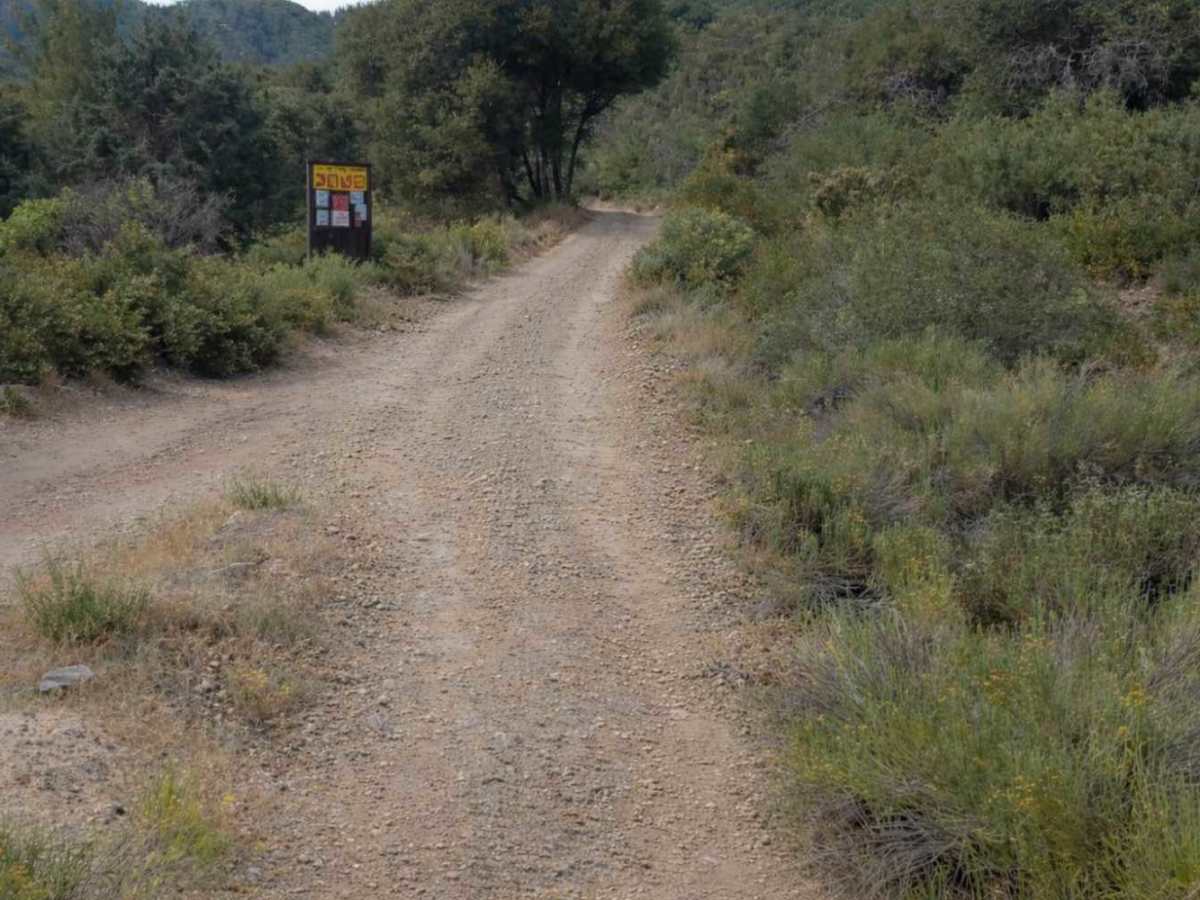 Rainbow Trail - FS 2N59 photo 5