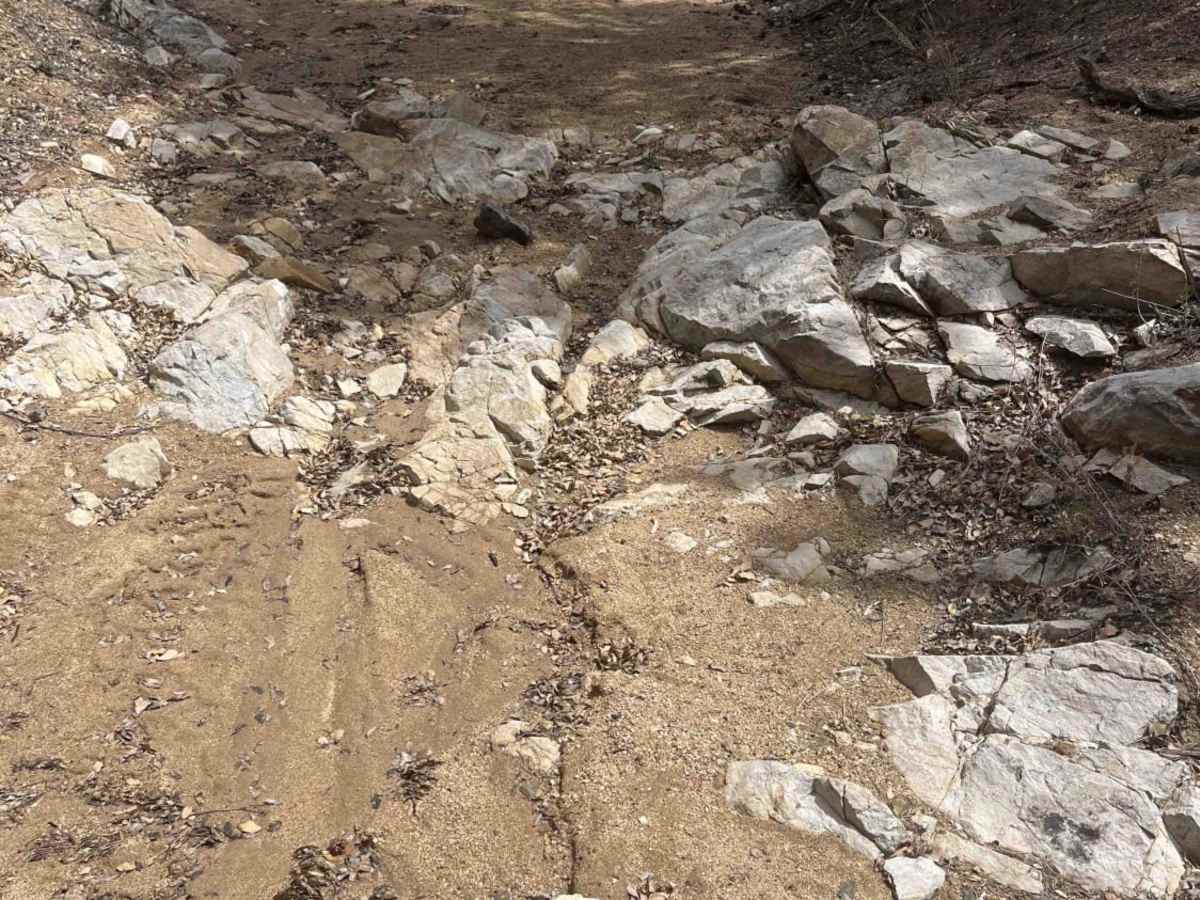 FS 4245M photo 3